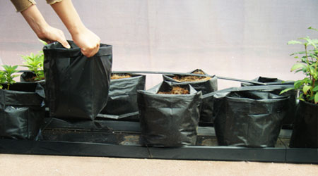 Ubicar Bolsa