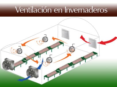 Esquema ventilación en invernadero