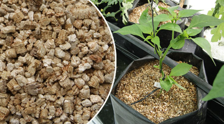 Vermiculita