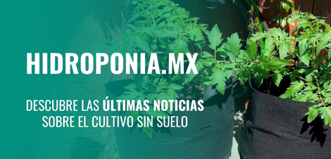 Hidroponia.mx