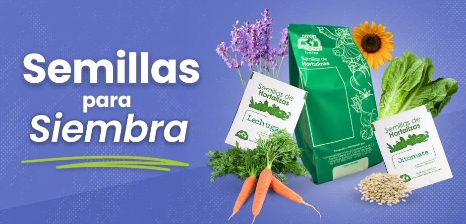 Semillas para siembra hydro environment