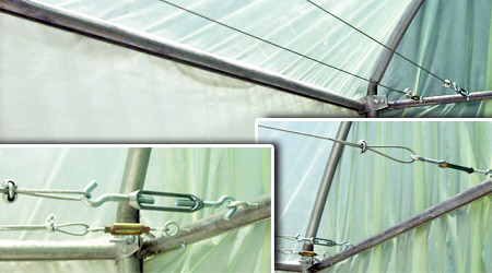Instalacion de Linea Principal de Tutoreo