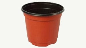 Maceta para cultivo en sustrato de perlita