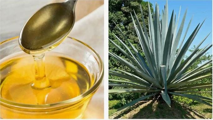 miel de agave