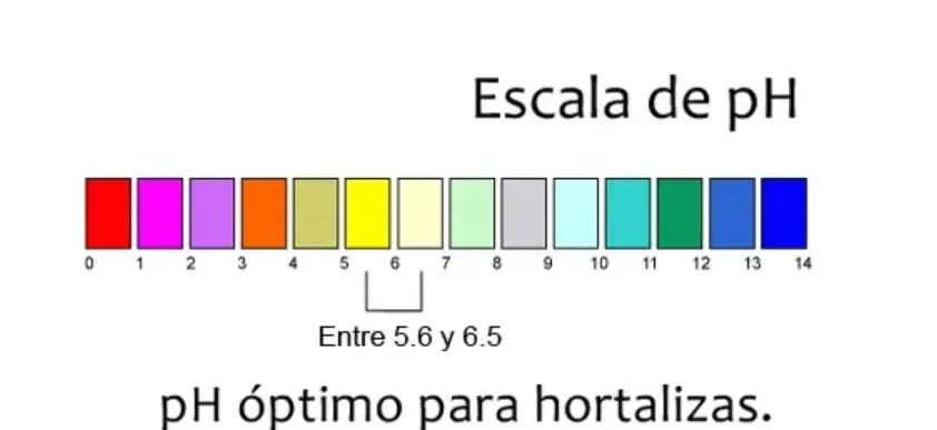 pH Escala, el mejor pH para hortalizas.