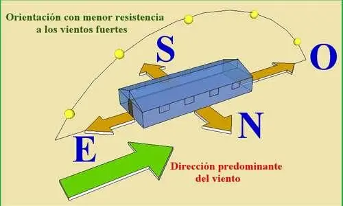 cultivo de arándano en invernadero, guía invernadero