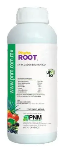 Enraizador de hierbabuena