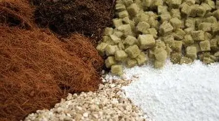 Tipos de sustratos para cultivo sin suelo