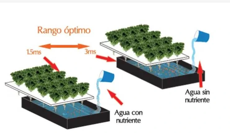 Guia sobre cultivo hidroponico 