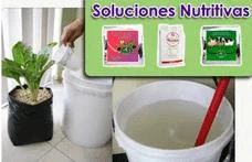Soluciones nutritivas preparación guía