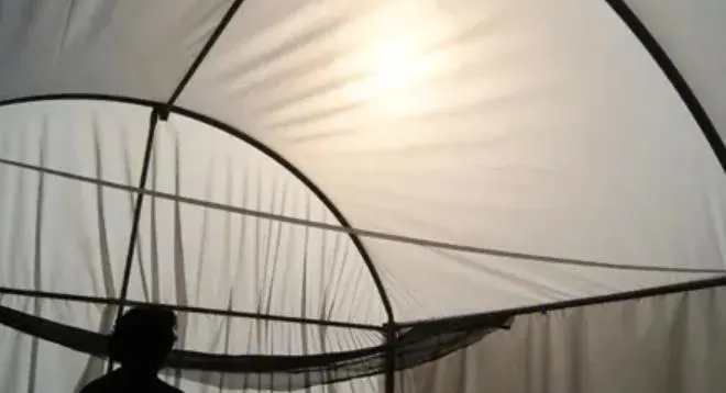 Importancia de la luz en el cultivo