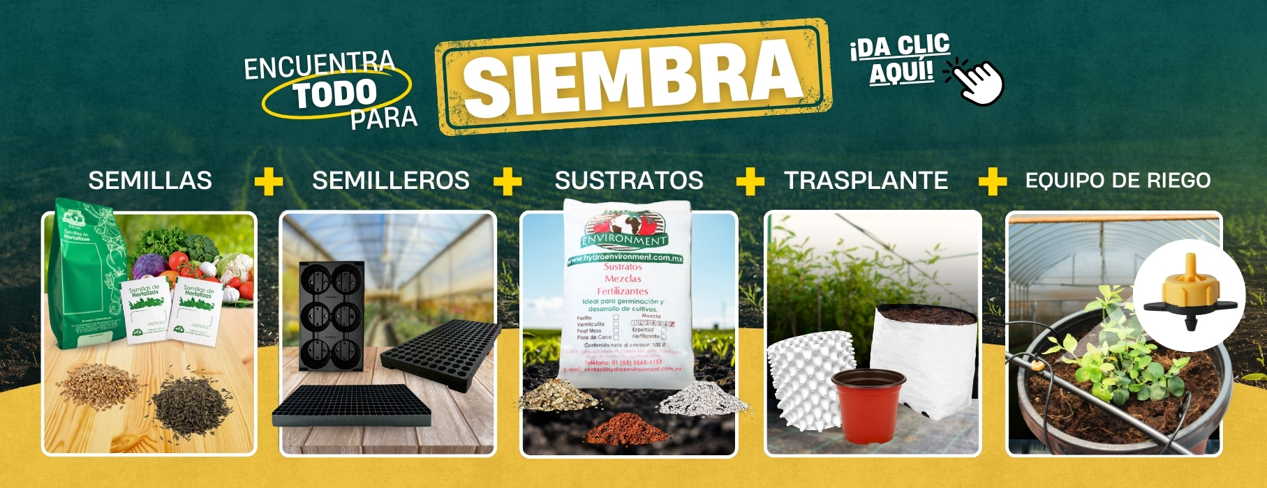 Productos de temporada Siembra