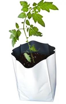 Bolsas para vivero en el cultivo, bolsas blancas