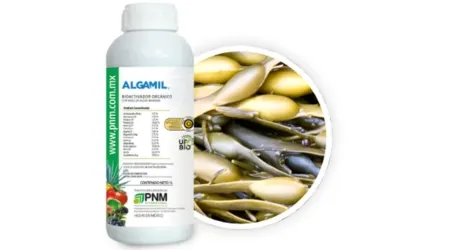 Fertilizante de Algas Marinas Orgánico Algamil 1 Litro | Bioestimulante Foliar Natural
