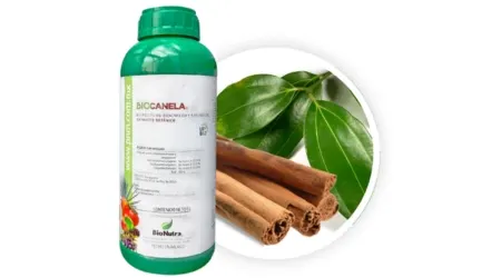 Insecticida, Fungicida y Acaricida Orgánico Bio-Canela – 1L
