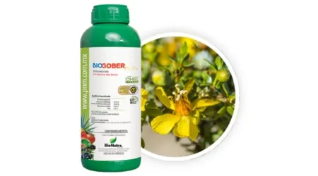 Fungicida Orgánico Extracto de Gobernadora BioGober Plus | 1L