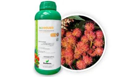 Insecticida Orgánico de Aceite de Higuerilla Bio Higuer  – 1L