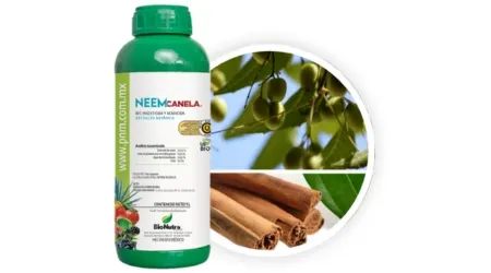 Insecticida y Acaricida Orgánico Neem Canela – 1 Litro