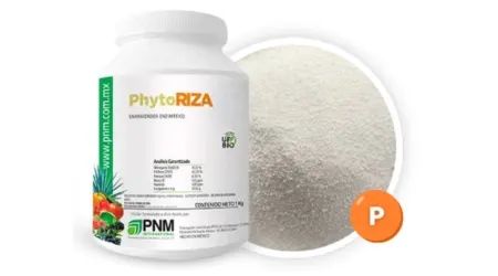 Fertilizante Enraizador Sólido para Plantas Phyto Riza 1 Kg