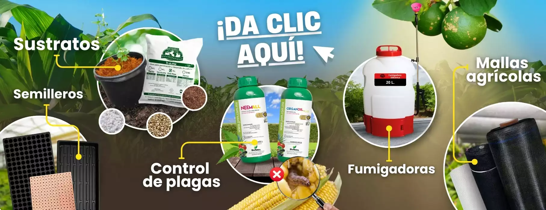 Productos_de_temporada