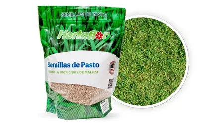 Pasto para Terreno Seco Bolsa de 1 LB
