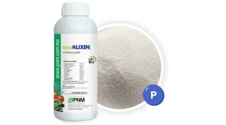 Fertilizante con Hormonas para Plantas Vita Auxin 1 Litro