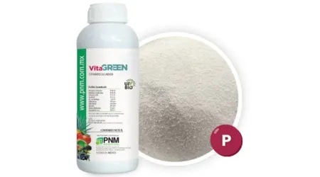 Regulador de Crecimiento para Plantas Vita Green 1 Litro